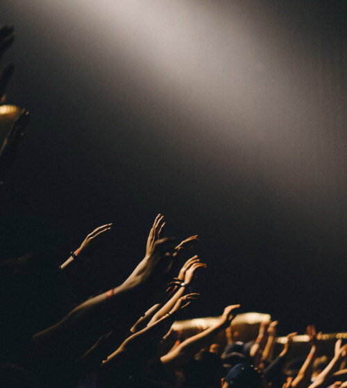 edwin-andrade-6liebVeAfrY-unsplash2 edwin-andrade-6liebVeAfrY-unsplash2