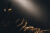 edwin-andrade-6liebVeAfrY-unsplash2