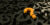 skill3_1
